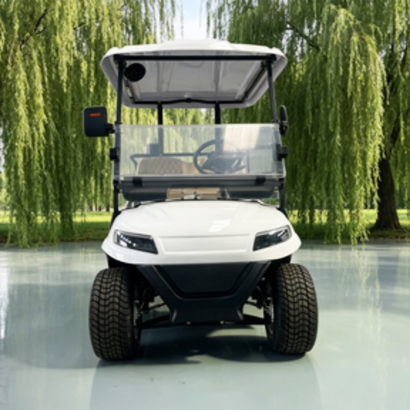 รถกอล์ฟไฟฟ้าจีน แบตเตอรี่ลิเธี - Golf Bag Stand Cart บทวิจารณ์และราคา